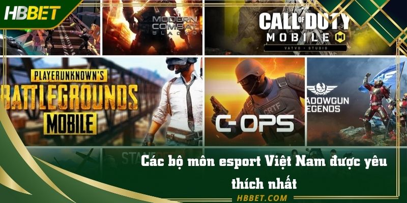 Các bộ môn esport Việt Nam được yêu thích nhất
