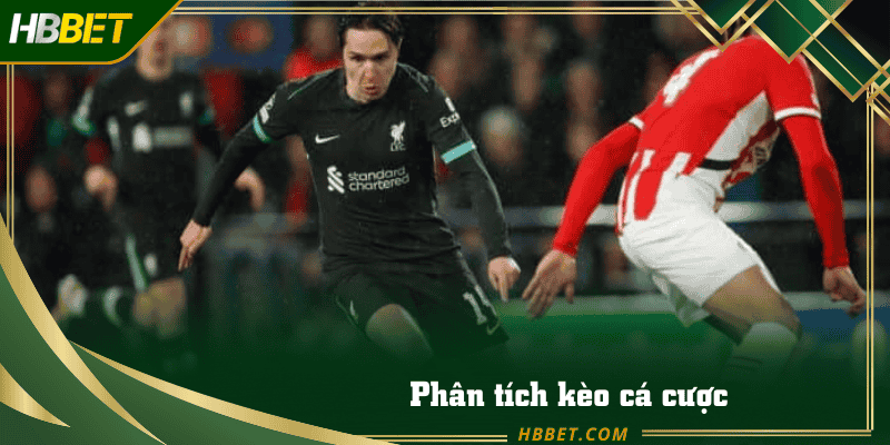 phân tích kèo cá cược