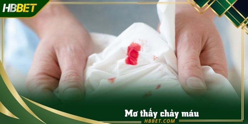 Mơ thấy chảy máu tức bạn đang gặp áp lực