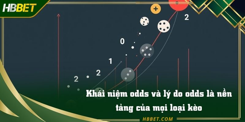 Biểu đồ mô phỏng mối liên hệ giữa xác suất và mức odds thực tế
