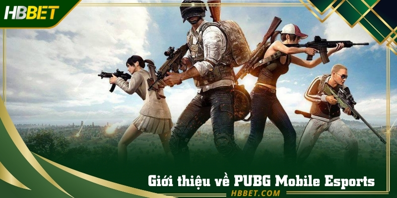 HBBET cung cấp thông tin về  PUBG Mobile Esports