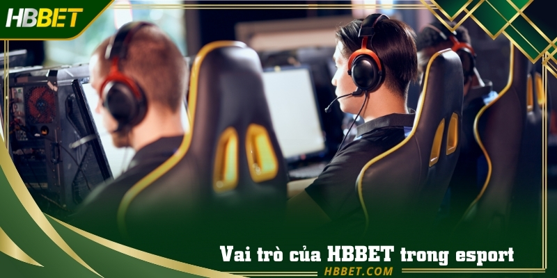 Không khí cuồng nhiệt của khán giả tại giải Valorant Champions Tour